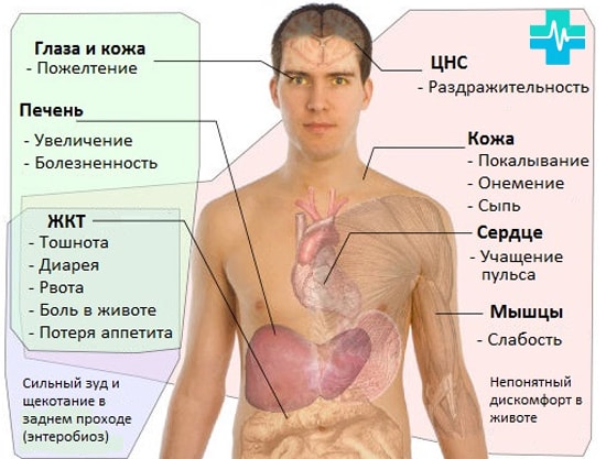 Лечение лямблиоза у взрослых 