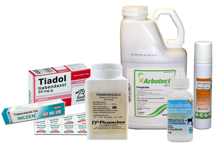 Тиабендазол для лечения паразитов, инструкция по применению, аналоги, отзывы 