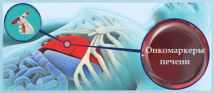 Анализы на paк печени: онкомаркеры их виды, нормы и расшифровка показателей 