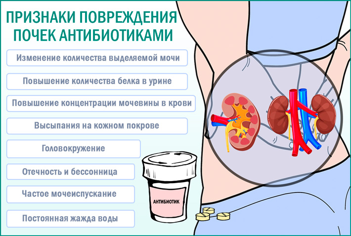 Боль в почках после антибиотиков 