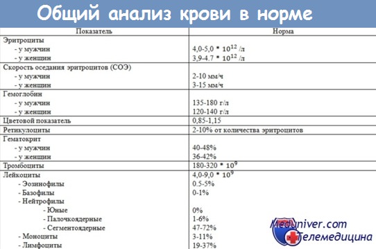 Общий анализ крови (ОАК): что показывает, норма и отклонения, таблицы результатов 