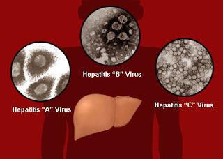 Особенности прививок от вирусного гепатита А 