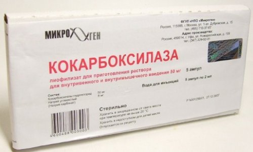 От чего Кокарбоксилаза: инструкция по применению 