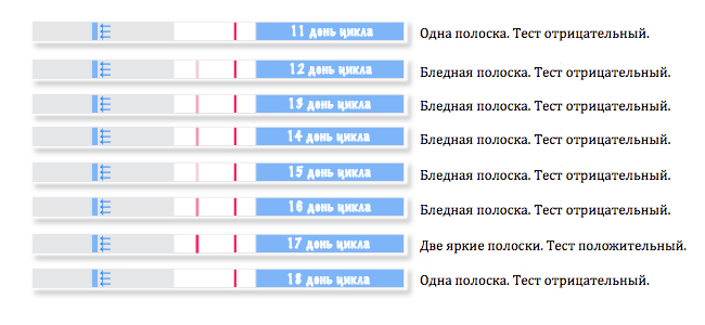 Инструкция к тесту на овуляцию: соблюдаем правила 