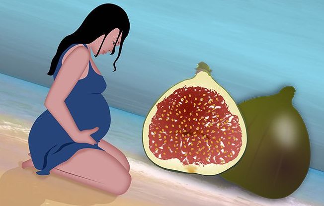Инжир во время беременности — польза и вред 