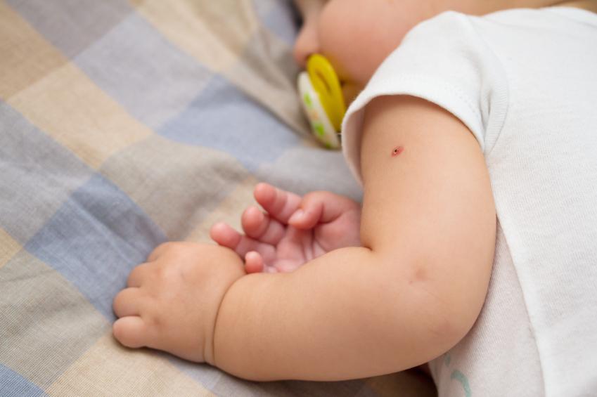 Прививка от гепатита для новорожденных 