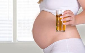 Способы определения фосфатов в урине беременных 