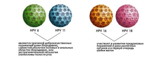 Вакцина против ВПЧ 