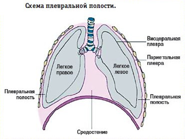 Дренирование плевральной полости: методика и техника 