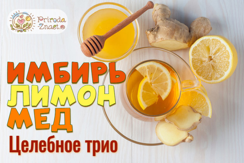 Имбирь с лимоном и медом — организм здоров и умиротворен! 