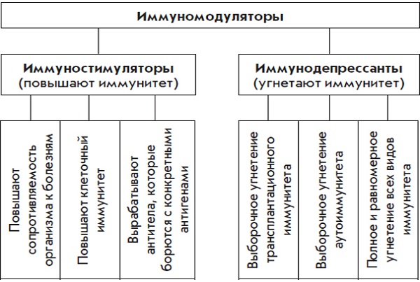 Иммуномодулирующие препараты при простуде 