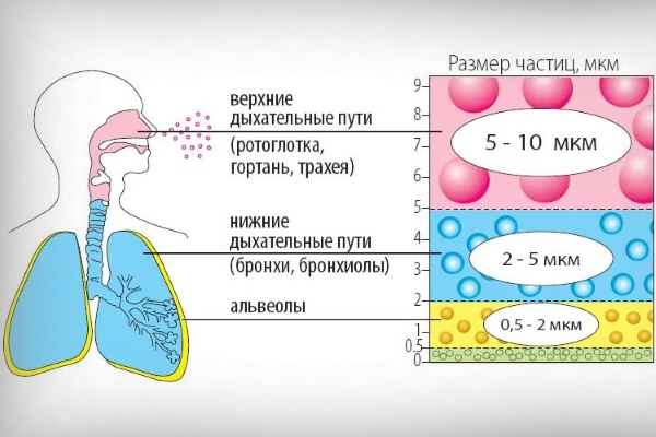 Как делать ингаляции при сухом кашле небулайзером ребенку? 