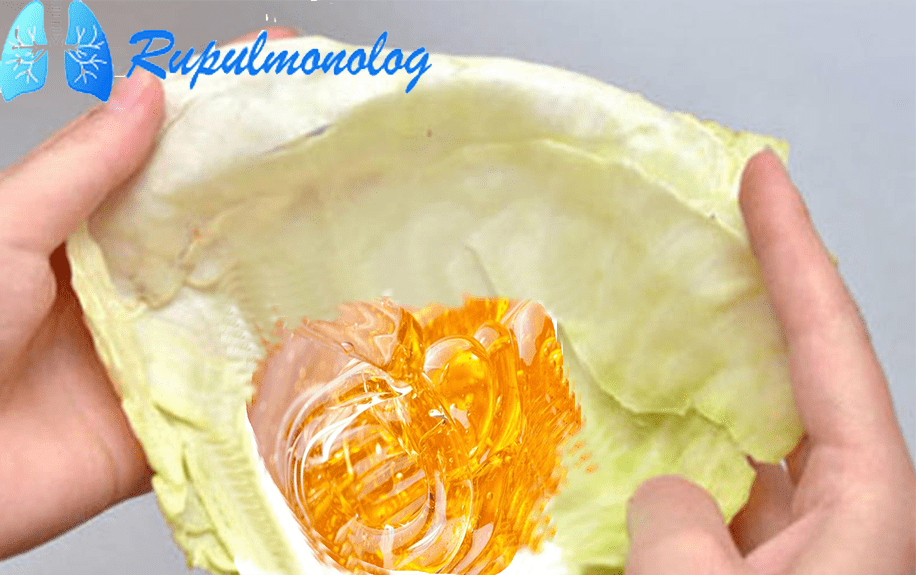Как правильно прикладывать капустный лист с медом от кашля 