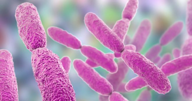 Клебсиелла пневмония (Klebsiella pneumoniae) – что это? 