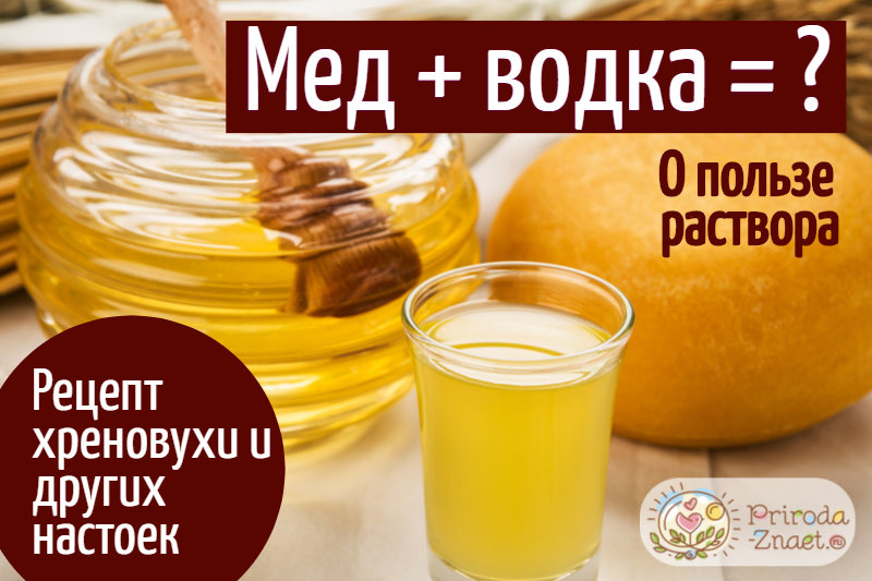 Мед и водка – для организма ценная находка! 