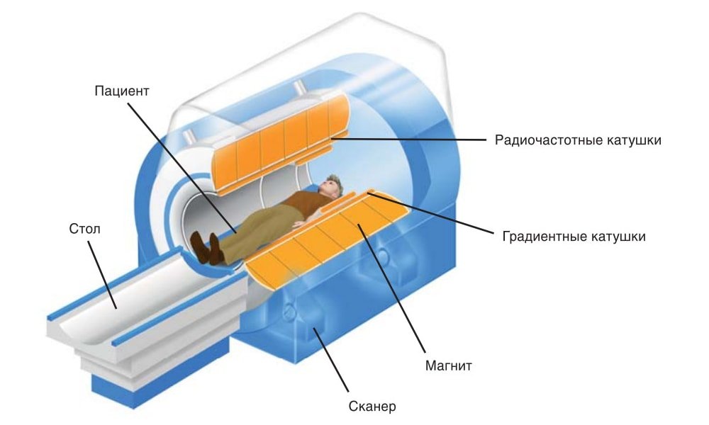 МРТ мягких тканей грудной клетки 