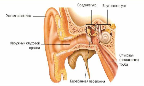 Отит у грудничка — симптомы 