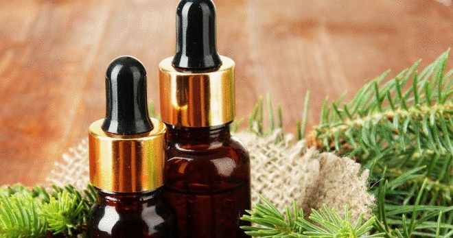 Пихтовое масло — лечебные свойства 