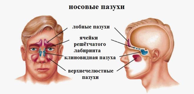 Причины, симптомы, диагностика и лечение кисты в носу 