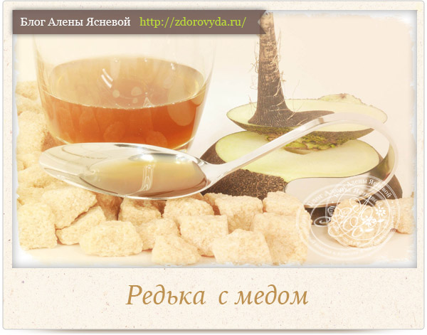 Рецепты от кашля с редькой и медом 