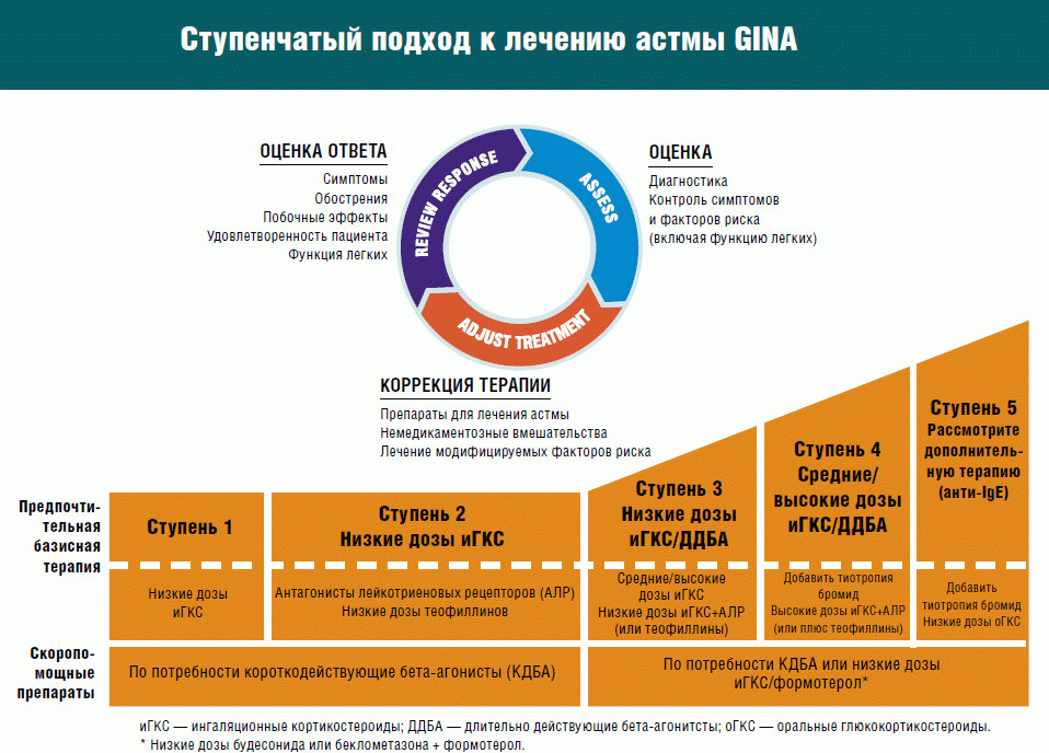 Ступенчатая терапия бронхиальной астмы. Лечим болезнь по мере её проявления 