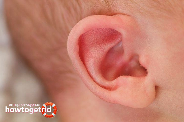 Как проверить слух у новорожденного в домашних условиях 