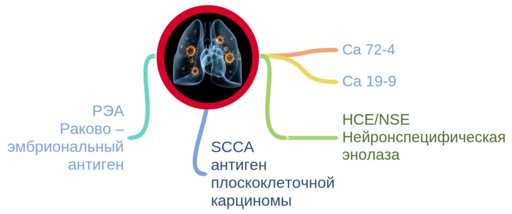 Все онкомаркеры при paке легких и бронхов – расшифровка, норма, подготовка к анализу 