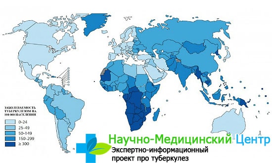 Заболеваемость туберкулезом по регионам России 