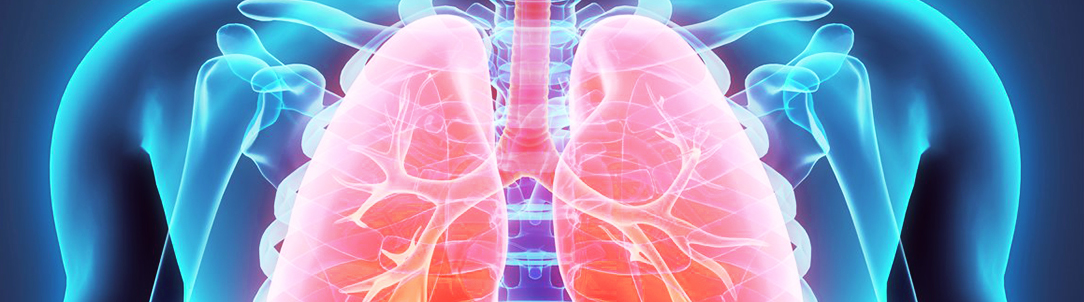 Заболевания дыхательной системы симптомы и лечение 