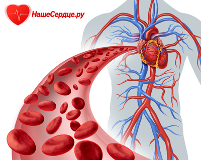 Сосудистые препараты улучшающие кровообращение 