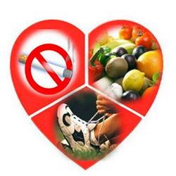 Здоровье сосудов и сердца, профилактика и предупреждение заболеваний 