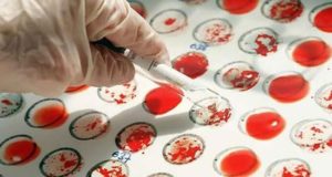 Как узнать группу крови ребенка по родителям 