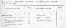 Апикальный периодонтит: этиология, клиника, диагностика и лечение 