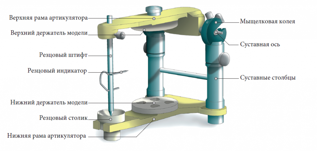 Артикулятор: классификация приборов по виду и типам суставного механизма 