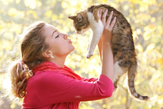 Гингивит у кошек симптомы и лечение в домашних условиях: фото 