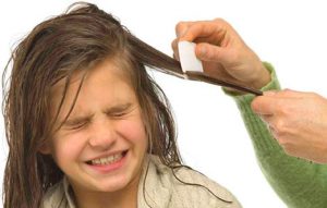 Как выявить и быстро вывести вши с гнидами у ребенка, не обрезая волос 