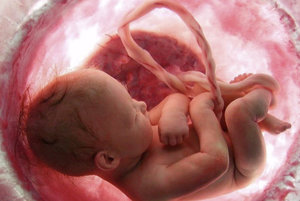 Как зарождается новая жизнь: описание процесса зачатия ребенка 