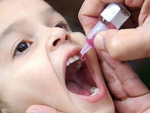 График детских прививок от полиомиелита в России — схемы вакцинации и ревакцинации 
