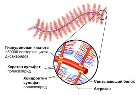 Грыжа позвоночника: причины, симптомы и методы лечения 