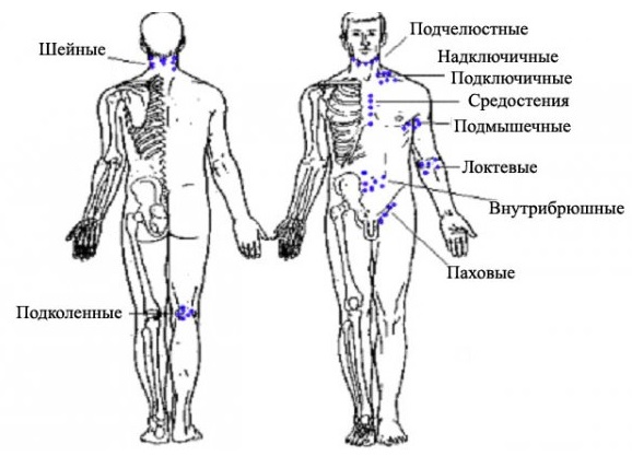 Имеются ли лимфоузлы на спине 