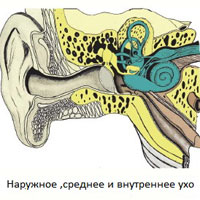 Как лечат пациентов с вестибулярным синдромом 