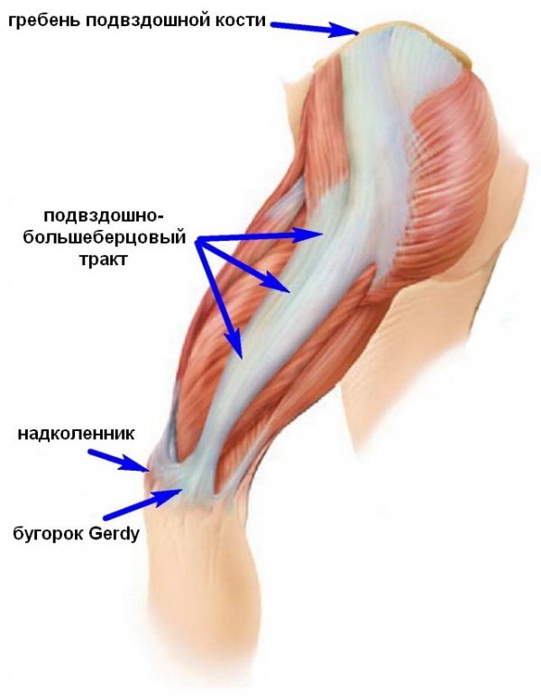 Как лечить синдром колена бегуна 