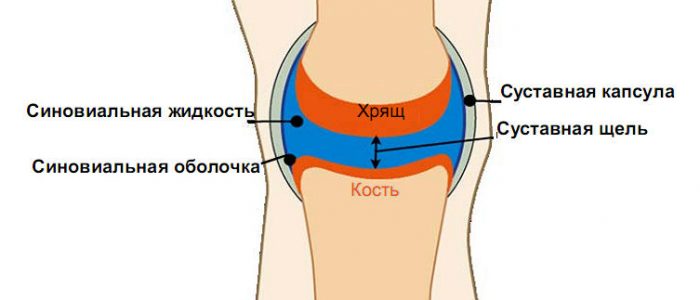 Как увеличить смазку в суставах? 