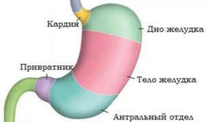 Пангастрит 