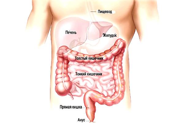 Последствия при развитии непроходимости кишечника и варианты их лечения 