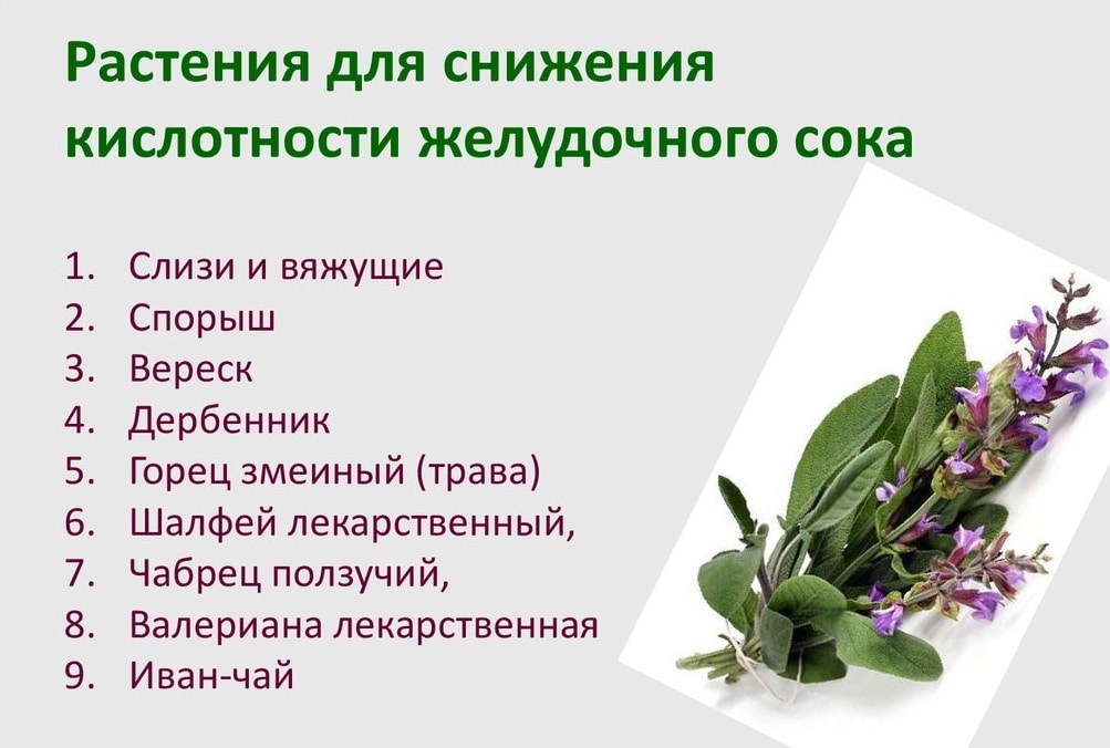 Предвестник язвенной болезни. Как понизить кислотность желудка? 