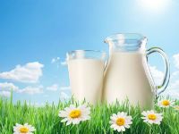 Преимущества козьего молока при панкреатите и способы его употребления 