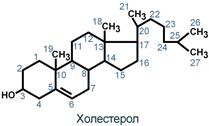 Строение и биологическая роль холестерина в организме 