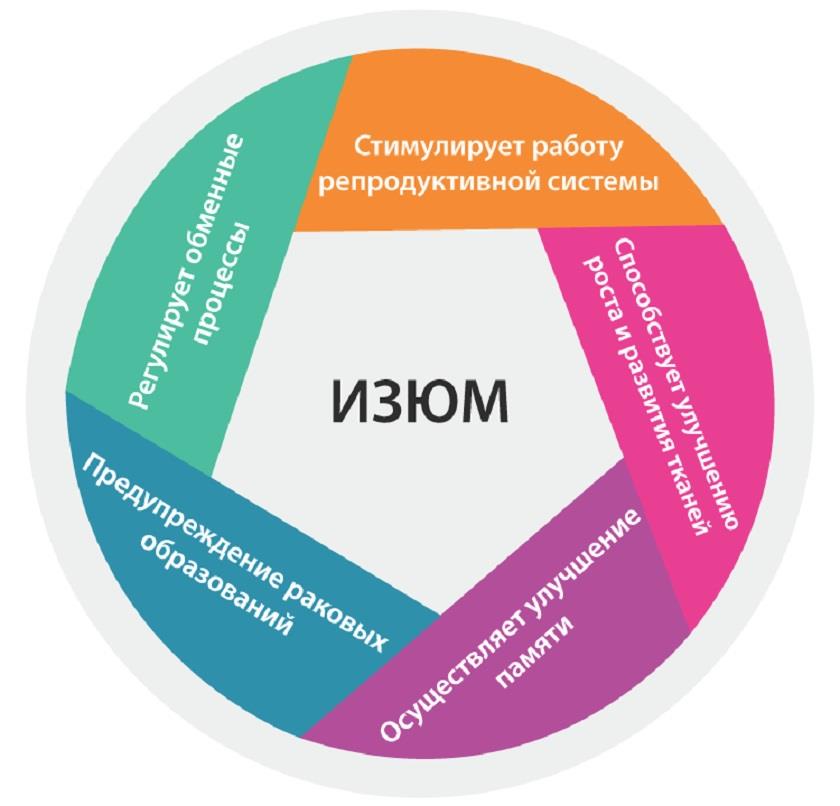 Изюм: крепит или слабит? 