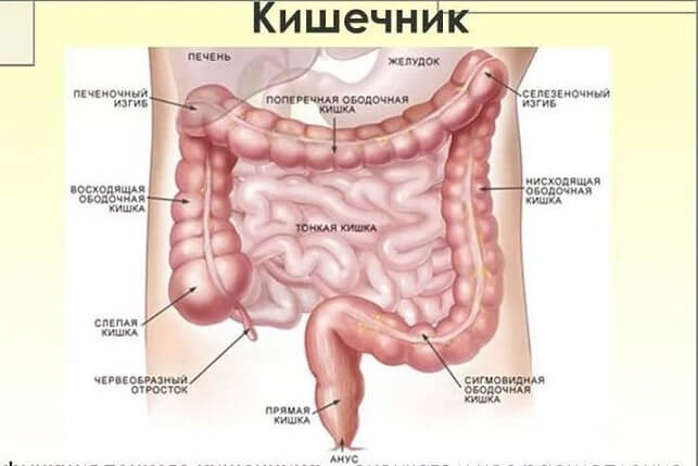 Запоры у женщин: гинекологические причины и лечение 